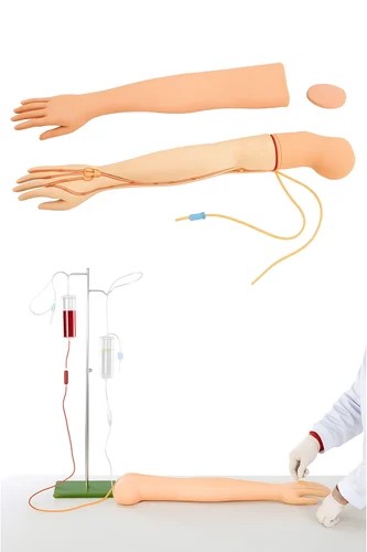 Training Manikin & Practice models