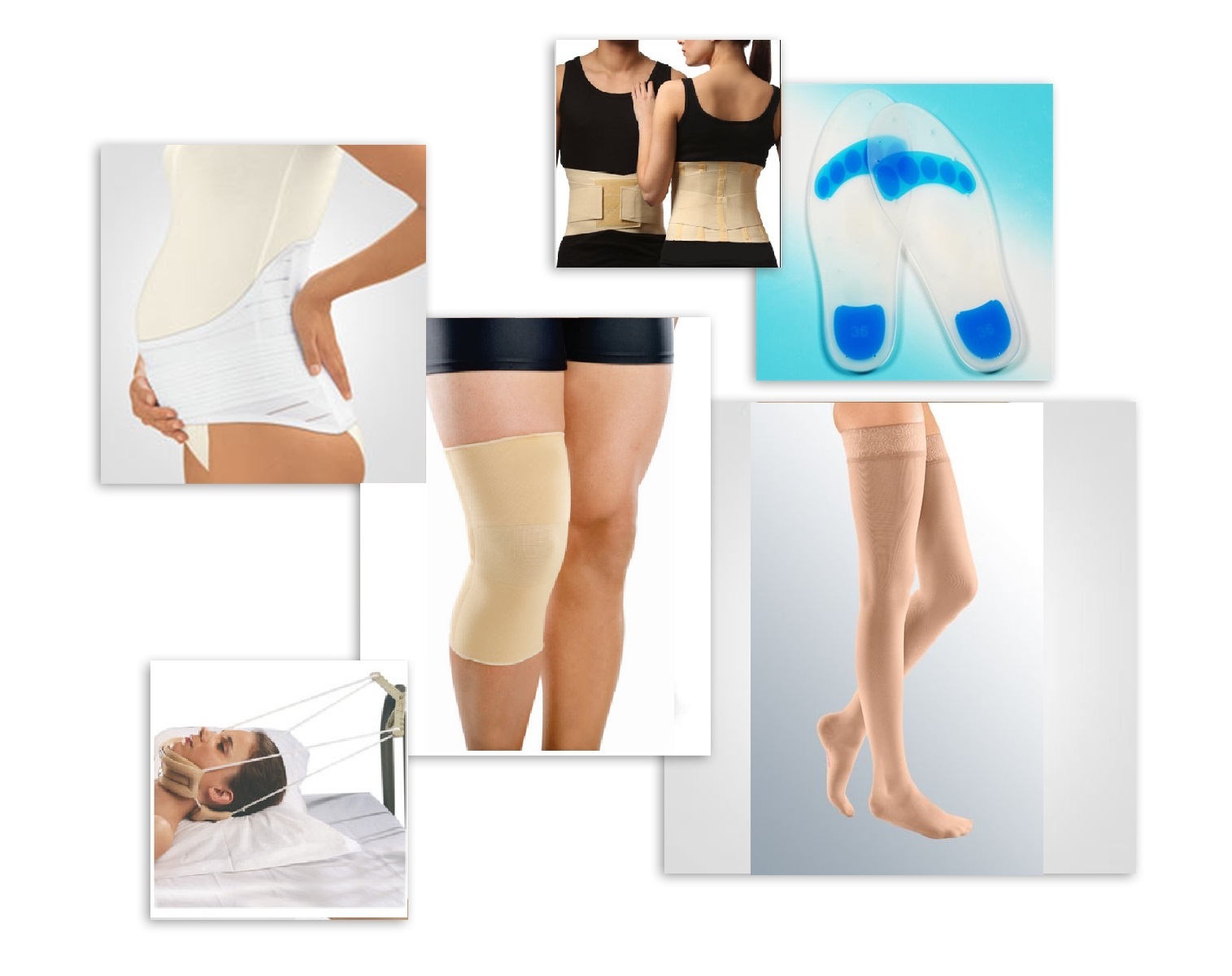 Rehabilitation and Orthopedic product
